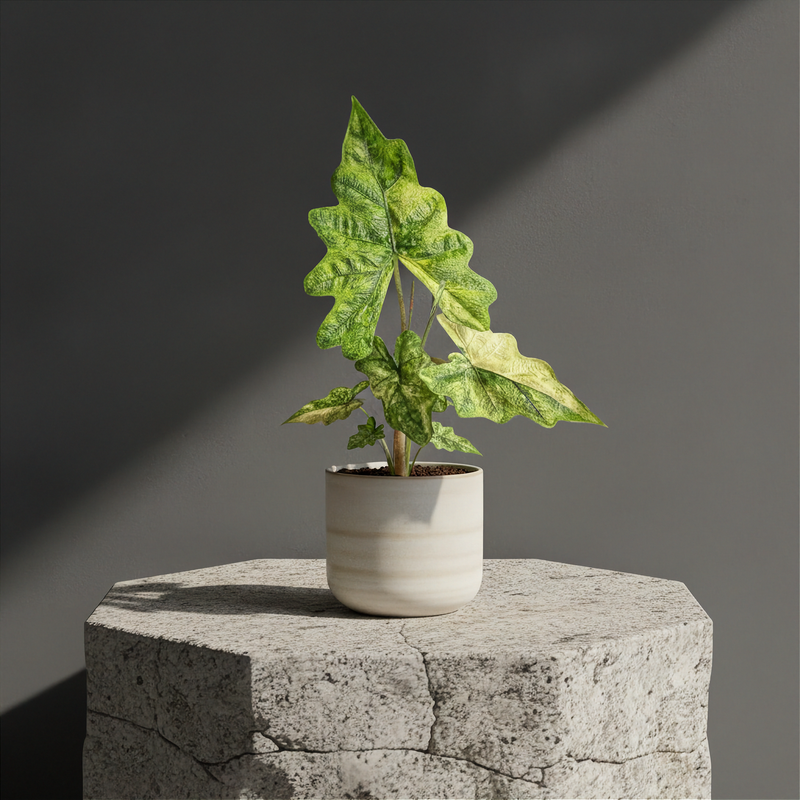 Mature