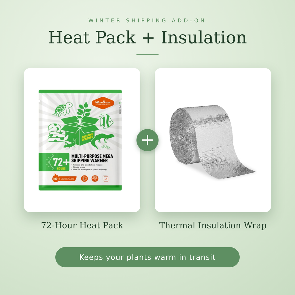 72-Hour Heat Pack & Thermal Insulation (Winter Shipping Add-On)